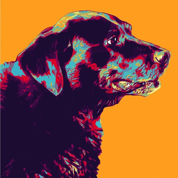 Meet your Posher, Pamela - Picture 3 of 3